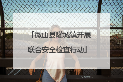 微山县驩城镇开展联合安全检查行动
