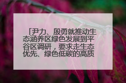 尹力、殷勇就推动生态涵养区绿色发展到平谷区调研，要求走生态优先、绿色低碳的高质量发展之路