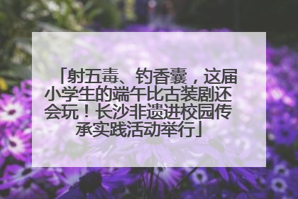 射五毒、钓香囊，这届小学生的端午比古装剧还会玩！长沙非遗进校园传承实践活动举行
