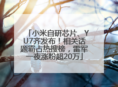 小米自研芯片、YU7齐发布！相关话题霸占热搜榜，雷军一夜涨粉超20万