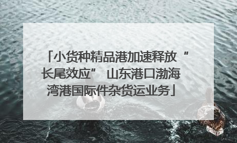 小货种精品港加速释放“长尾效应” 山东港口渤海湾港国际件杂货运业务