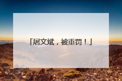 屠文斌，被重罚！