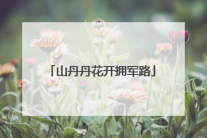 山丹丹花开拥军路