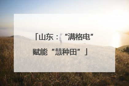 山东：“满格电”赋能“慧种田”