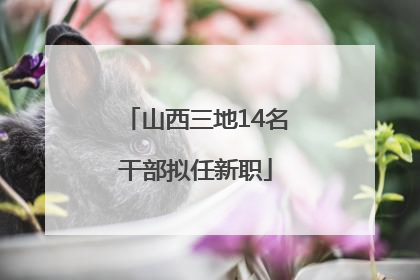 山西三地14名干部拟任新职