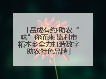 岳成有约·助农“味”你而来 监利市柘木乡全力打造数字助农特色品牌