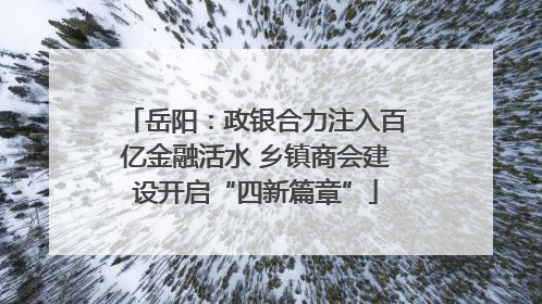 岳阳：政银合力注入百亿金融活水 乡镇商会建设开启“四新篇章”