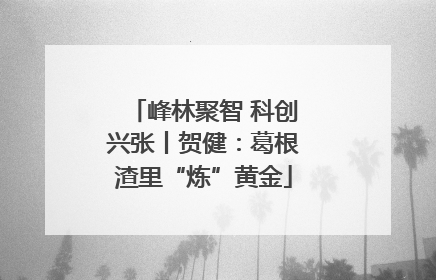 峰林聚智 科创兴张丨贺健：葛根渣里“炼”黄金