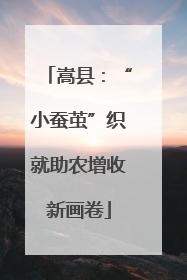 嵩县：“小蚕茧”织就助农增收新画卷