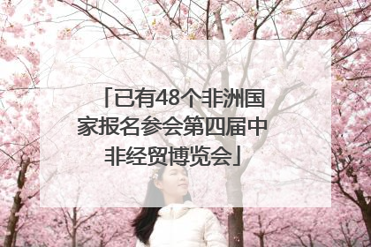已有48个非洲国家报名参会第四届中非经贸博览会
