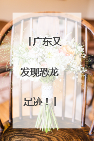 广东又发现恐龙足迹！