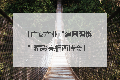 广安产业“建圈强链”精彩亮相西博会