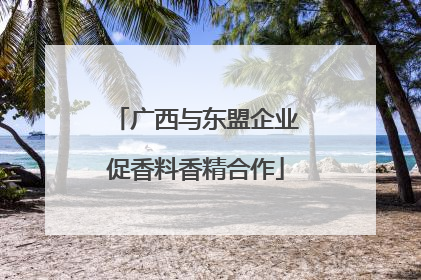 广西与东盟企业促香料香精合作