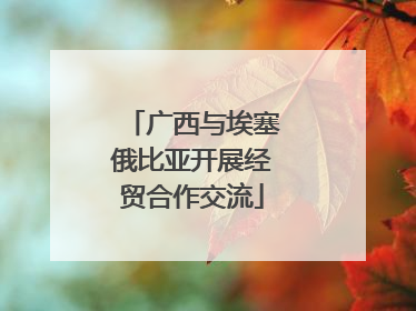广西与埃塞俄比亚开展经贸合作交流