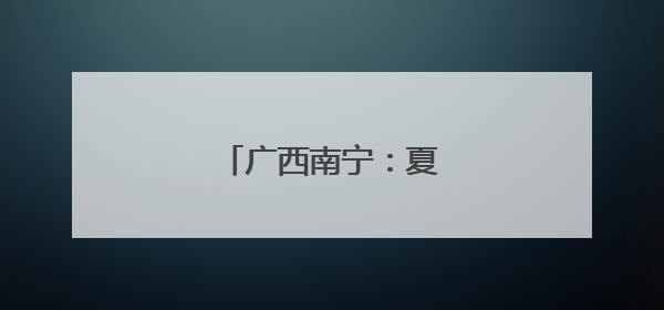 广西南宁：夏日路树果飘香