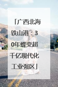 广西北海铁山港：30年蝶变超千亿现代化工业强区