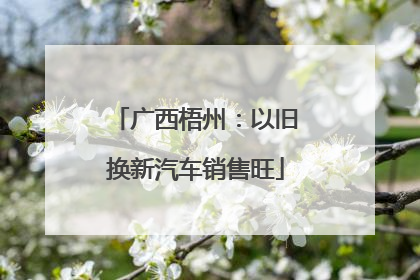 广西梧州：以旧换新汽车销售旺