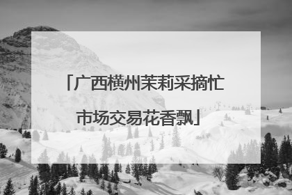 广西横州茉莉采摘忙 市场交易花香飘