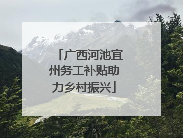 广西河池宜州务工补贴助力乡村振兴
