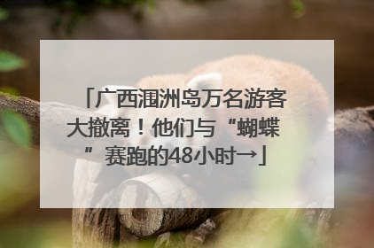 广西涠洲岛万名游客大撤离！他们与“蝴蝶”赛跑的48小时→