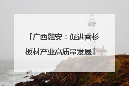 广西融安：促进香杉板材产业高质量发展