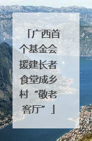 广西首个基金会援建长者食堂成乡村“敬老客厅”