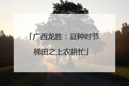 广西龙胜：夏种时节 梯田之上农耕忙