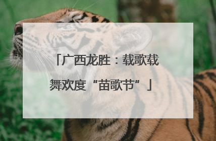 广西龙胜：载歌载舞欢度“苗歌节”