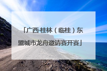 广西·桂林（临桂）东盟城市龙舟邀请赛开赛