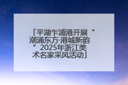 平湖乍浦港开展“潮涌东方·港城新韵”2025年浙江美术名家采风活动