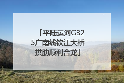 平陆运河G325广南线钦江大桥拱肋顺利合龙