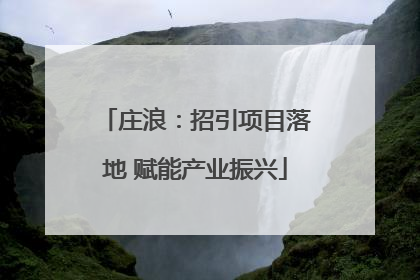庄浪：招引项目落地 赋能产业振兴