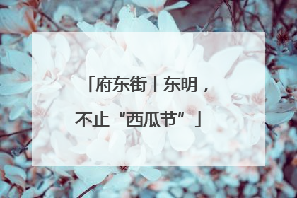 府东街丨东明，不止“西瓜节”