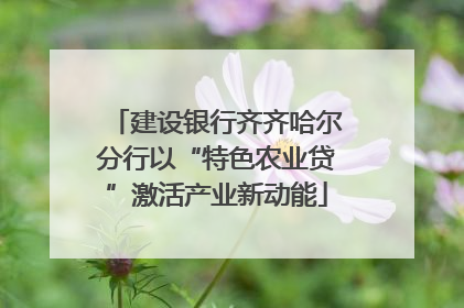 建设银行齐齐哈尔分行以“特色农业贷”激活产业新动能