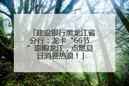 建设银行黑龙江省分行：龙卡“66节”惠购龙江，点燃夏日消费热浪！