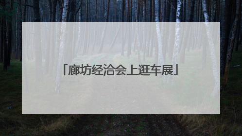 廊坊经洽会上逛车展