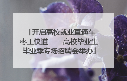 开启高校就业直通车 枣工快道——高校毕业生毕业季专场招聘会举办