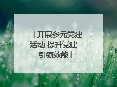 开展多元党建活动 提升党建 引领效能