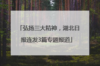 弘扬三大精神，湖北日报连发3篇专题报道