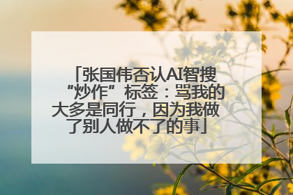 张国伟否认AI智搜“炒作”标签：骂我的大多是同行，因为我做了别人做不了的事