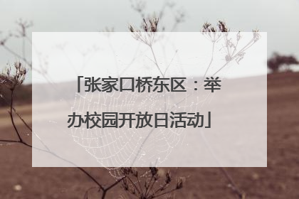 张家口桥东区：举办校园开放日活动
