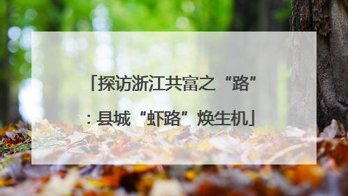 探访浙江共富之“路”：县城“虾路”焕生机