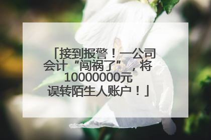 接到报警！一公司会计“闯祸了”，将10000000元误转陌生人账户！