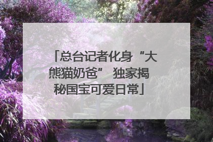 总台记者化身“大熊猫奶爸” 独家揭秘国宝可爱日常