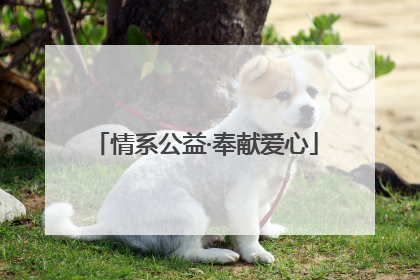 情系公益·奉献爱心