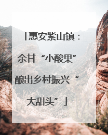 惠安紫山镇：余甘“小酸果”酿出乡村振兴“大甜头”