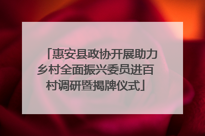 惠安县政协开展助力乡村全面振兴委员进百村调研暨揭牌仪式