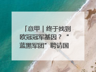 意甲｜终于找到欧冠冠军基因？“蓝黑军团”聘请国米名宿齐沃执教