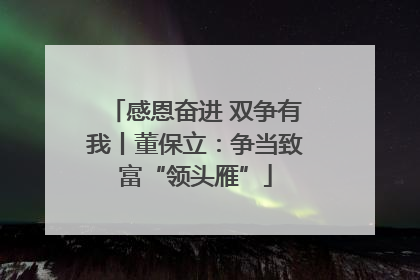 感恩奋进 双争有我丨董保立：争当致富“领头雁”