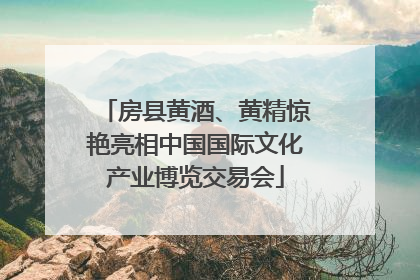 房县黄酒、黄精惊艳亮相中国国际文化产业博览交易会